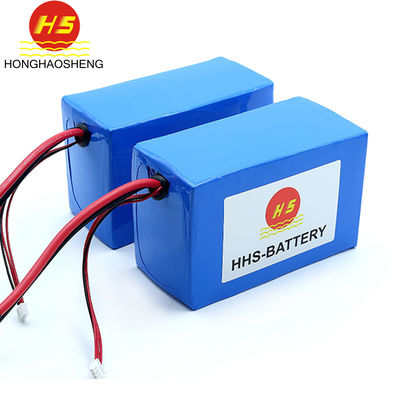12v 20ah Li Ion Battery Pack With PCM
